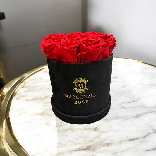 11 Preserved Roses in Small Black Round Velvet Box