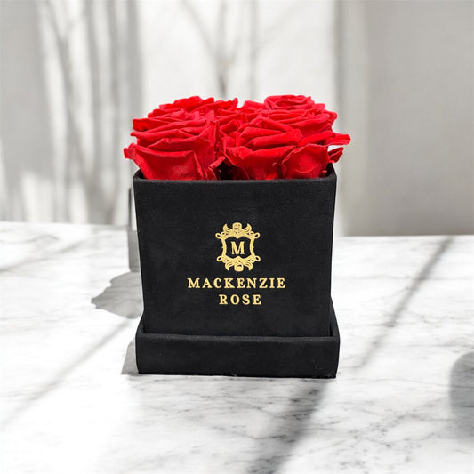 4-5 Preserved Roses in Small Square Velvet Box