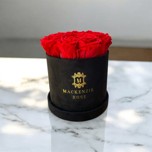 11 Preserved Roses in Small Black Round Velvet Box