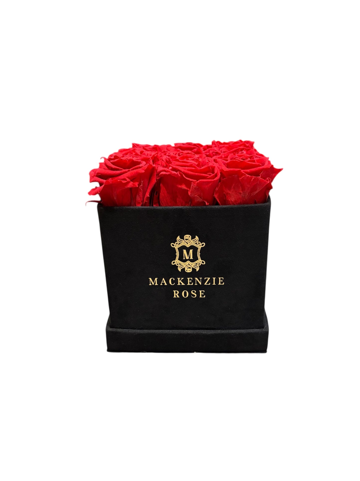 12 Long Lasting Preserved Roses in Medium Square Black Velvet Box