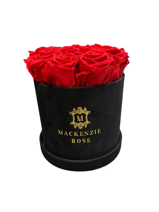 11 Preserved Roses in Small Black Round Velvet Box