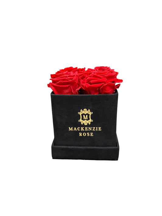 4-5 Preserved Roses in Small Square Velvet Box