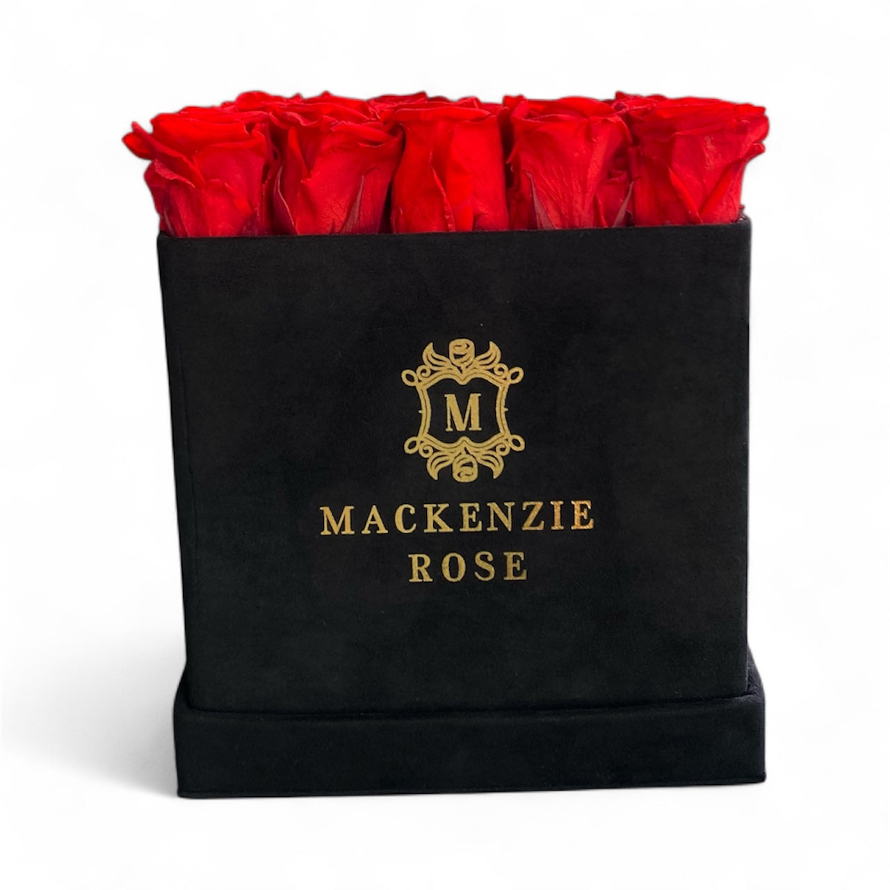16 - 18 Luxury Preserved Roses in Large Square Velvet Box