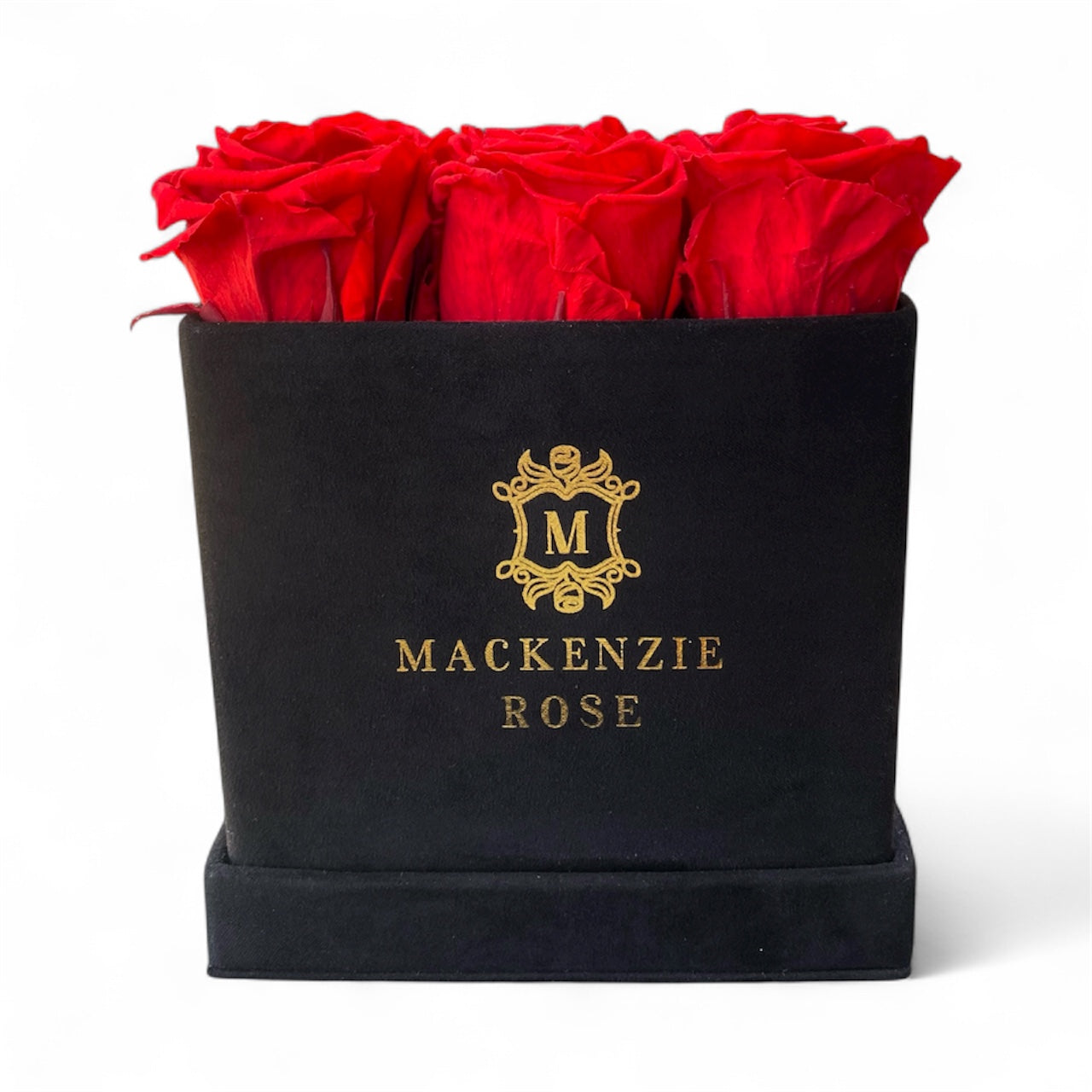 12 Long Lasting Preserved Roses in Medium Square Black Velvet Box