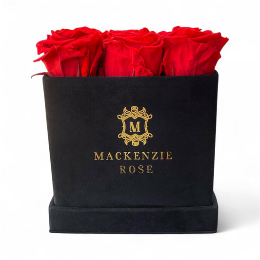 12 Long Lasting Preserved Roses in Medium Square Black Velvet Box