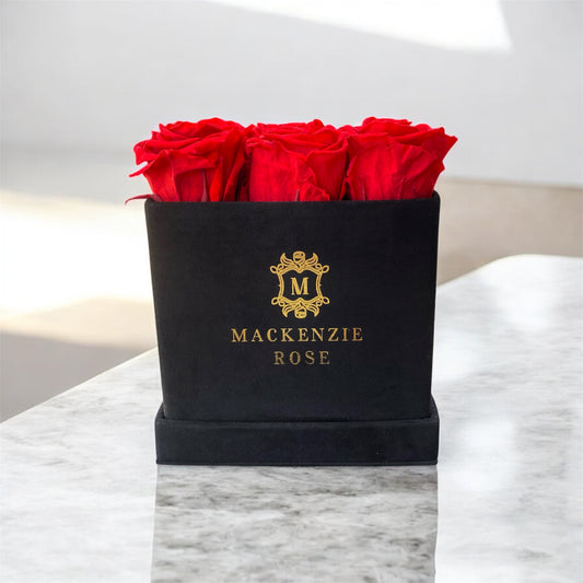 12 Long Lasting Preserved Roses in Medium Square Black Velvet Box