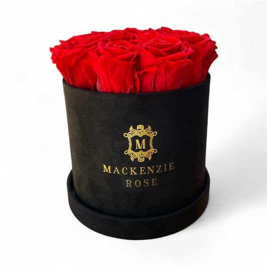 11 Preserved Roses in Small Black Round Velvet Box
