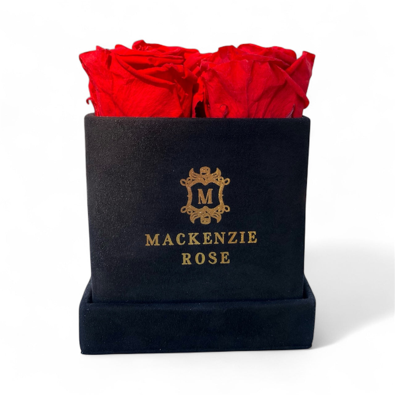 5 Preserved Roses in Small Square Velvet Box