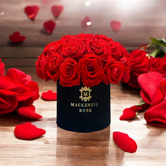 30 Preserved Roses in Small Velvet Round Box